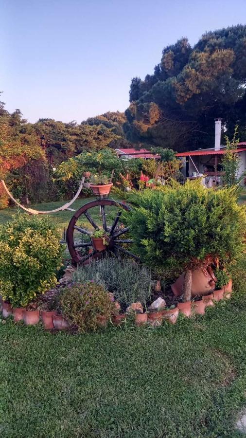 Mesimvria  Ivonnis Gardenヴィラ エクステリア 写真