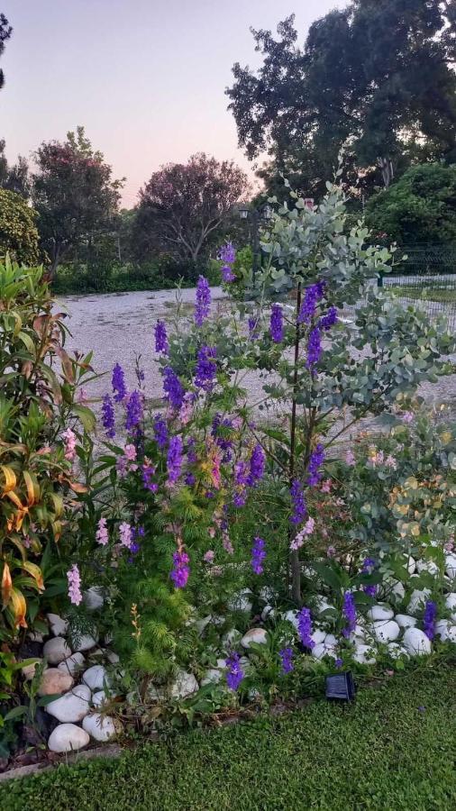 Mesimvria  Ivonnis Gardenヴィラ エクステリア 写真